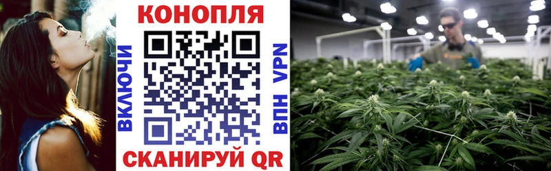 Купить наркотики цена Ипатово Псилоцибиновые грибы  Марихуана  A PVP  АМФ  ТГК  Гашиш  Cocaine  МЕФ 