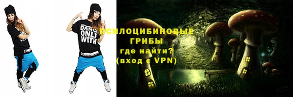 дмт Алексин