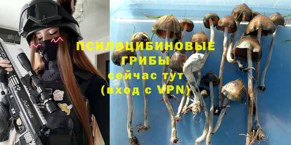 дмт Алексин