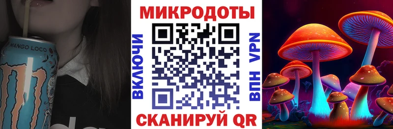 Псилоцибиновые грибы Psilocybine cubensis  Ипатово 